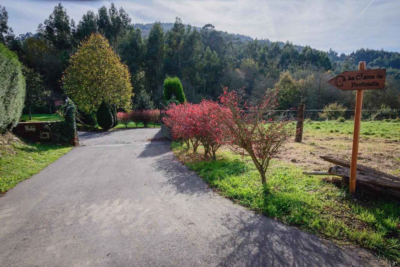 La Casina De Punticiella Konuk evi El Pito Dış mekan fotoğraf